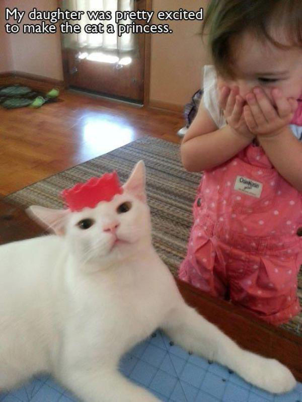 Examples of Excitement Overload