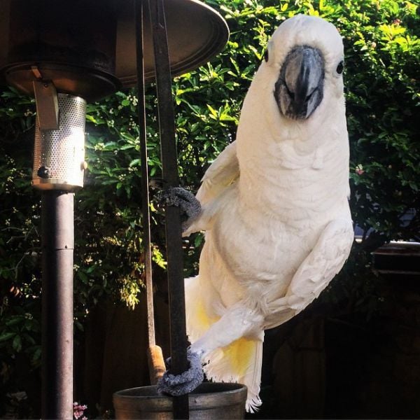 This Is What Really Goes on in the Playboy Mansion