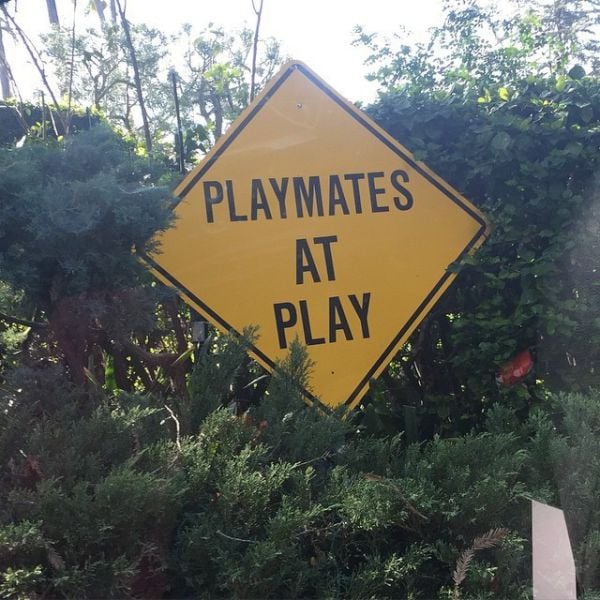 This Is What Really Goes on in the Playboy Mansion