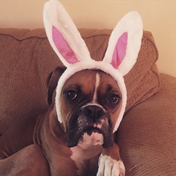 This Is What Really Goes on in the Playboy Mansion