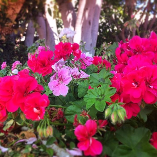 This Is What Really Goes on in the Playboy Mansion