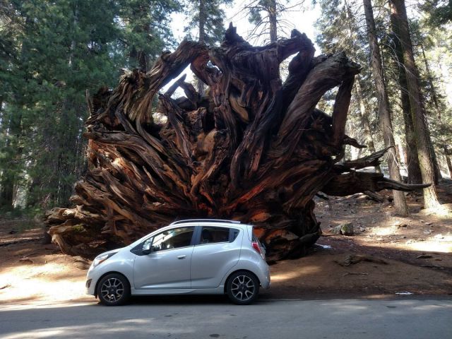 daily picdump 95 pics 40.html - 95 HD Photos | Premium Gallery 2015