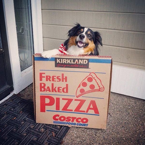 daily picdump 95 pics 40.html - 95 HD Photos | Premium Gallery 2015