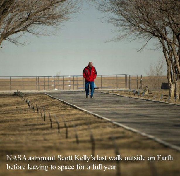 daily picdump 95 pics 40.html - 95 HD Photos | Premium Gallery 2015