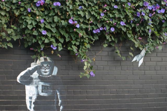 daily picdump 95 pics 40.html - 95 HD Photos | Premium Gallery 2015