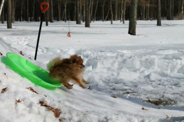 daily picdump 95 pics 40.html - 95 HD Photos | Premium Gallery 2015