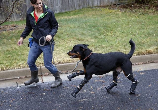 daily picdump 95 pics 40.html - 95 HD Photos | Premium Gallery 2015