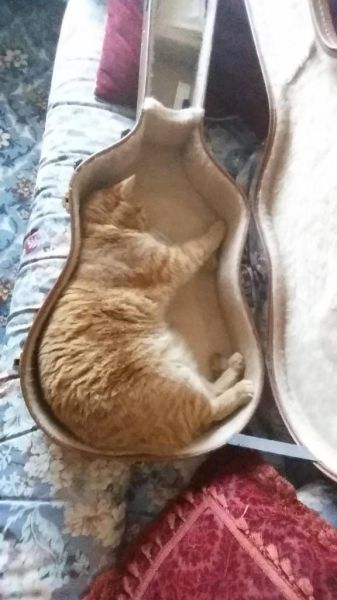 daily picdump 95 pics 40.html - 95 HD Photos | Premium Gallery 2015