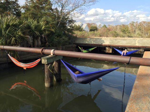 morning picdump 52 pics 2.html - 52 HD Photos | Premium Gallery 2015