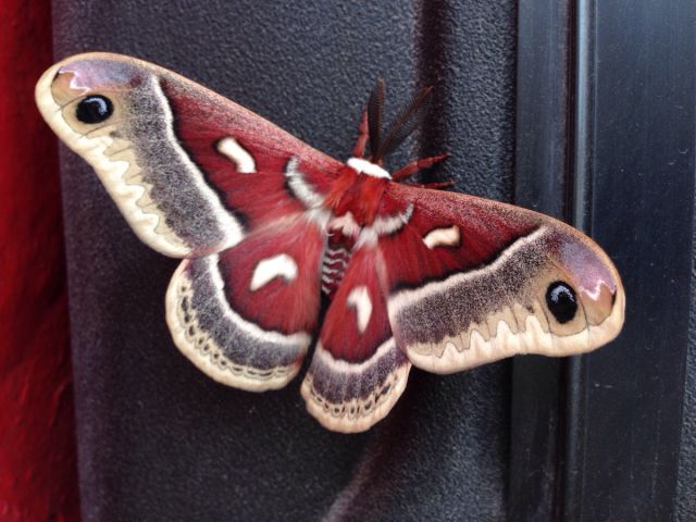 morning picdump 52 pics 2.html - 52 HD Photos | Premium Gallery 2015