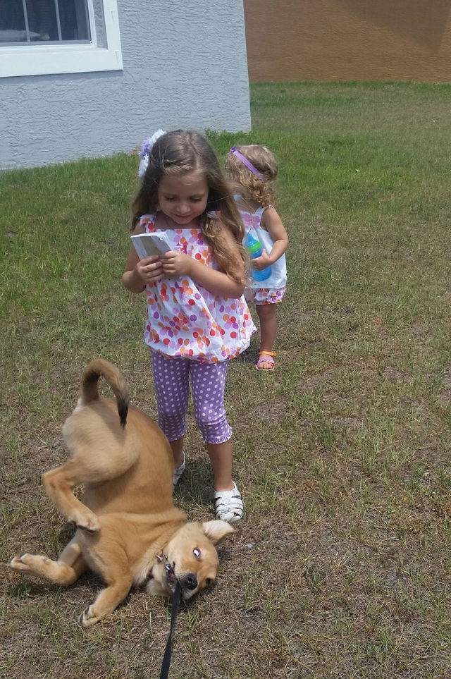 morning picdump 52 pics 2.html - 52 HD Photos | Premium Gallery 2015