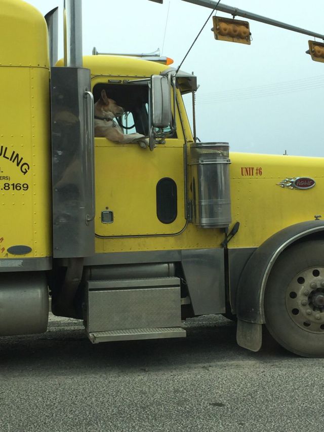 morning picdump 52 pics 2.html - 52 HD Photos | Premium Gallery 2015