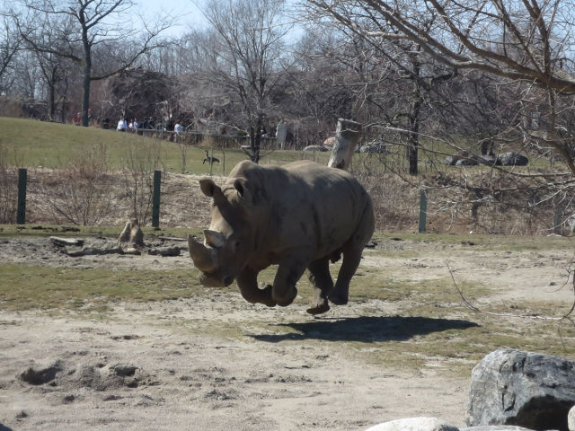 morning picdump 53 pics 18.html - 53 HD Photos | Premium Gallery 2015