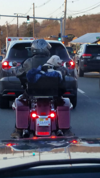 morning picdump 53 pics 18.html - 53 HD Photos | Premium Gallery 2015