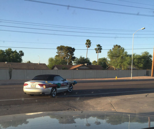 morning picdump 53 pics 18.html - 53 HD Photos | Premium Gallery 2015