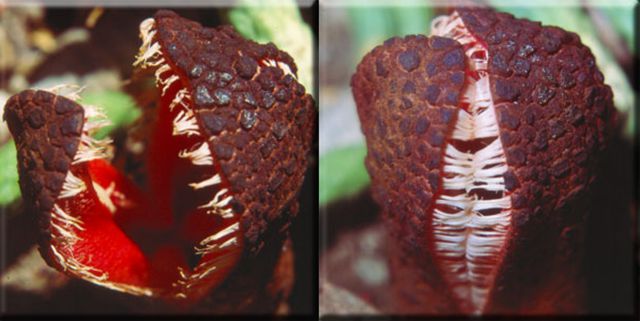 morning picdump 53 pics 18.html - 53 HD Photos | Premium Gallery 2015