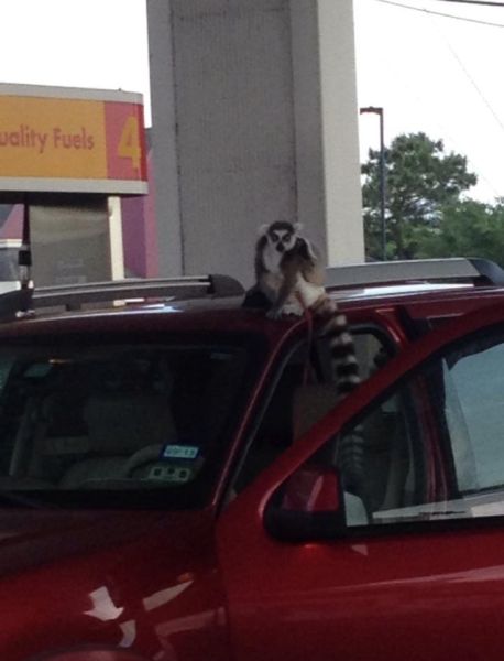 morning picdump 53 pics 18.html - 53 HD Photos | Premium Gallery 2015