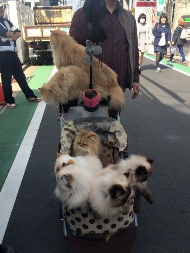 morning picdump 53 pics 18.html - 53 HD Photos | Premium Gallery 2015