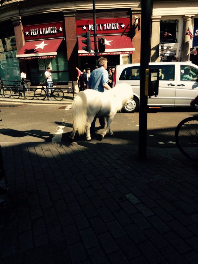 morning picdump 53 pics 18.html - 53 HD Photos | Premium Gallery 2015