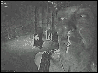 Pictures That Will Haunt Your Dreams Tonight