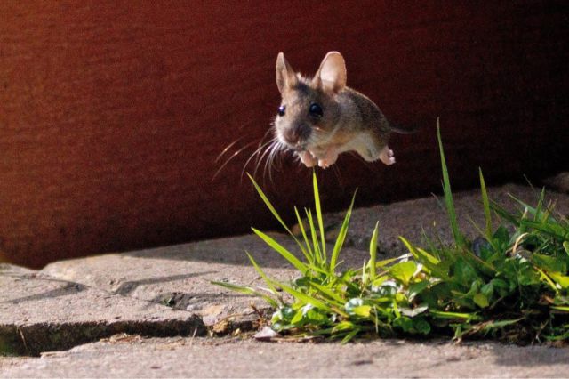 top 750 morning pics of the year 2015.html - 1 HD Photos | Premium Gallery 2015