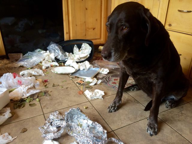 morning picdump 51 pics 46.html - 51 HD Photos | Premium Gallery 2015