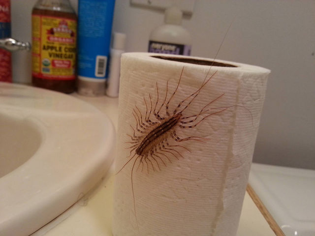 morning picdump 51 pics 46.html - 51 HD Photos | Premium Gallery 2015