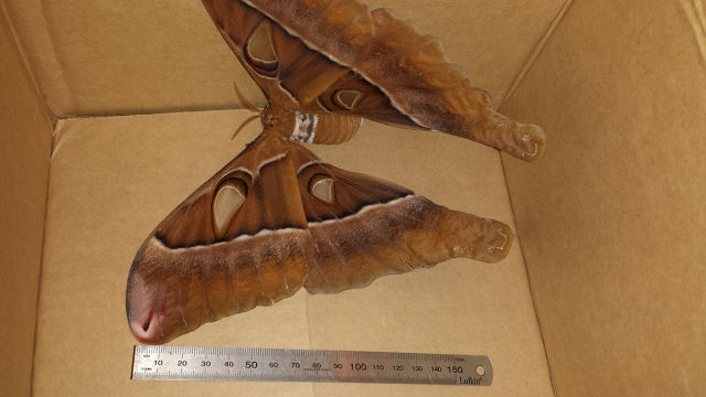 morning picdump 51 pics 46.html - 51 HD Photos | Premium Gallery 2015