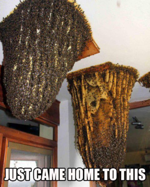 Pictures That Will Haunt Your Dreams Tonight