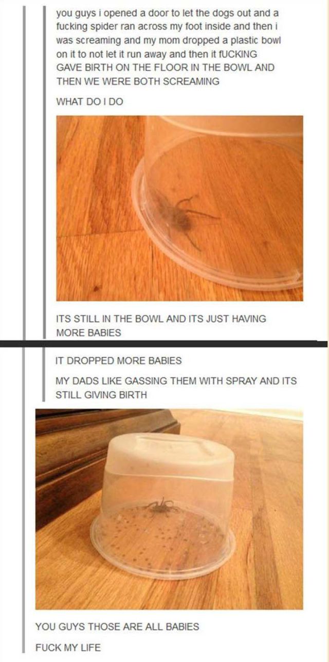 Pictures That Will Haunt Your Dreams Tonight