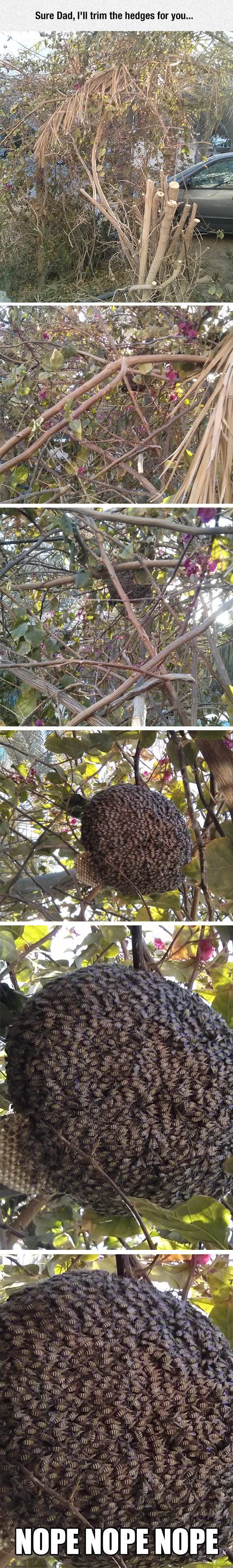 Pictures That Will Haunt Your Dreams Tonight