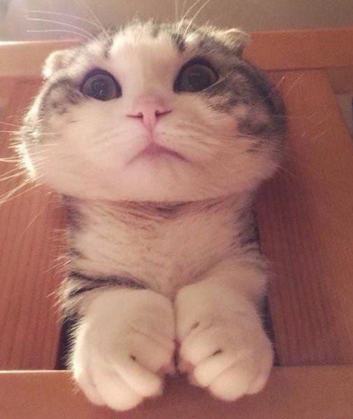 page,36,top 1500 daily pics of the year 2015.html - 1 HD Photos | Premium Gallery 2015