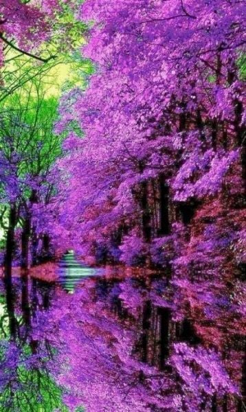 page,48,top 1500 daily pics of the year 2015.html - 1 HD Photos | Premium Gallery 2015