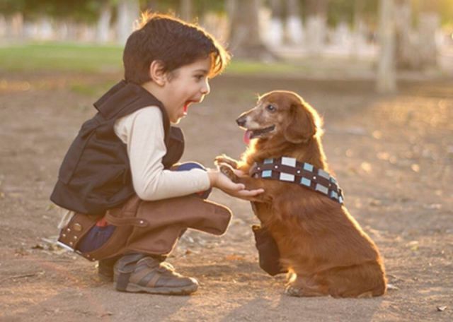 morning picdump 50 pics 21.html - 50 HD Photos | Premium Gallery 2015