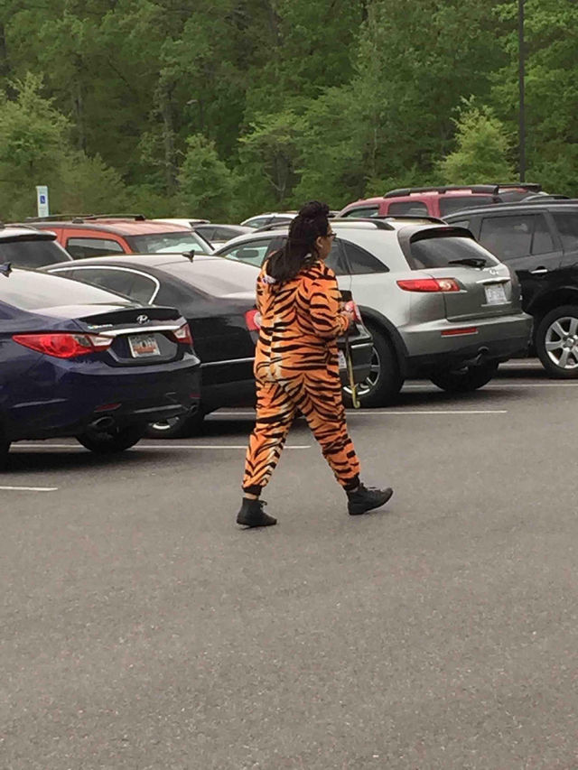 morning picdump 50 pics 21.html - 50 HD Photos | Premium Gallery 2015