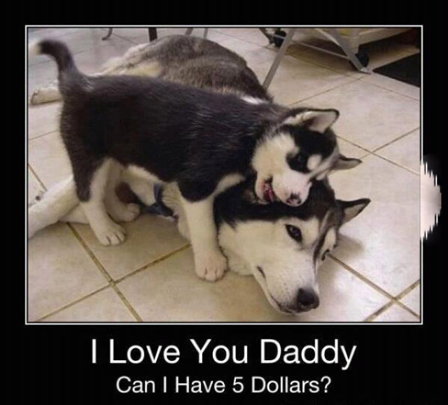 page,17,top 450 funny pics of the year 2015.html - 1 HD Photos | Premium Gallery 2015