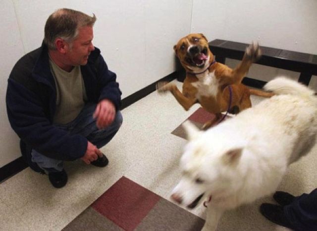 Daily Picdump