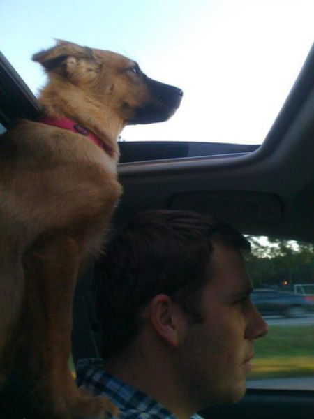 daily picdump 92 pics 10.html - 92 HD Photos | Premium Gallery 2015