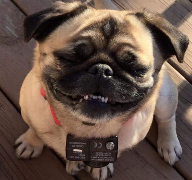 daily picdump 92 pics 10.html - 92 HD Photos | Premium Gallery 2015