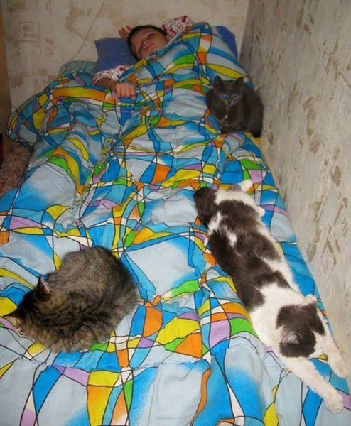 daily picdump 92 pics 10.html - 92 HD Photos | Premium Gallery 2015