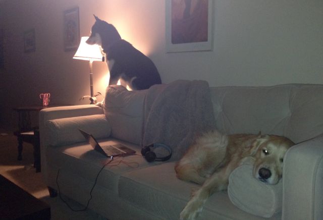 daily picdump 92 pics 10.html - 92 HD Photos | Premium Gallery 2015