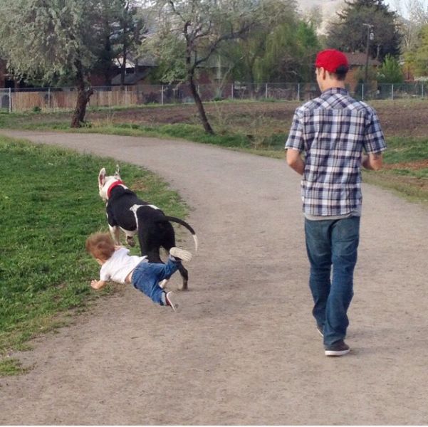 morning picdump 51 pics 16.html - 51 HD Photos | Premium Gallery 2015