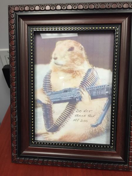 morning picdump 51 pics 16.html - 51 HD Photos | Premium Gallery 2015