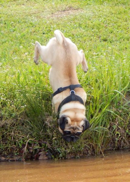 morning picdump 51 pics 26.html - 51 HD Photos | Premium Gallery 2015