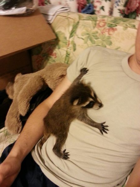 morning picdump 51 pics 26.html - 51 HD Photos | Premium Gallery 2015