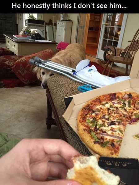Daily Picdump