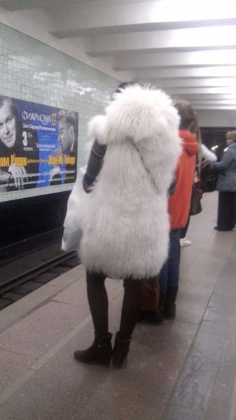 Daily Picdump