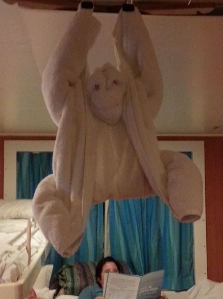 daily picdump 101 pics 6.html - 101 HD Photos | Premium Gallery 2015