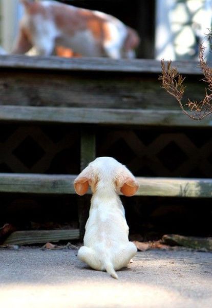 daily picdump 101 pics 6.html - 101 HD Photos | Premium Gallery 2015