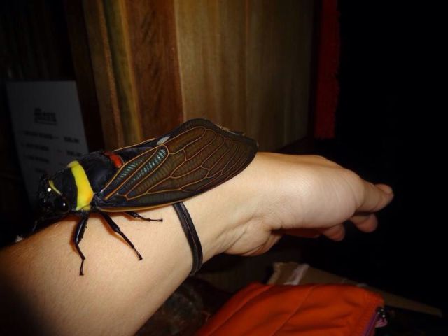 morning picdump 53 pics 21.html - 53 HD Photos | Premium Gallery 2015